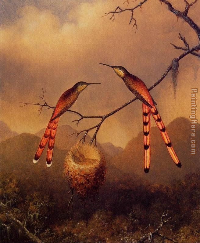 Martin Johnson Heade Two Hummingbirds with Their Young